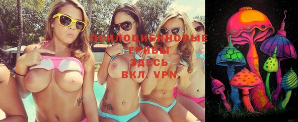 гашик Нея