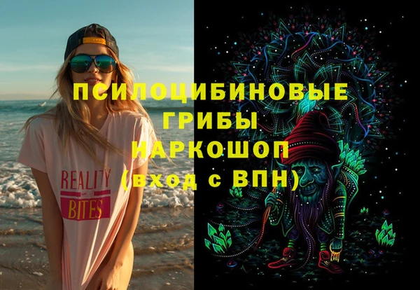 гашик Нея